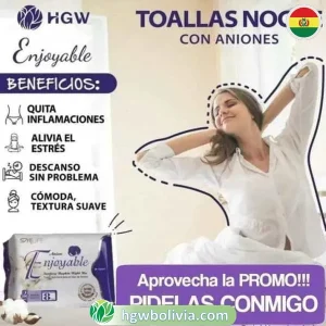 Toallas Higiénicas Noche HGW 🌙 | Banda de Anión y Protección 8h