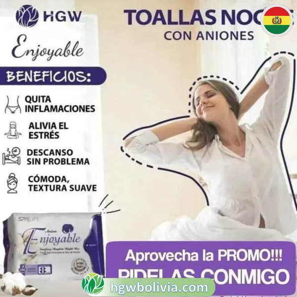 Toallas Higiénicas Noche HGW 🌙 | Banda de Anión y Protección 8h 1 Toallas Higiénicas Noche HGW 🌙 | Banda de Anión y Protección 8h